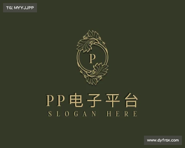 介绍pp电子游戏